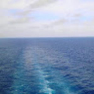 Meet your Posher, Muriel